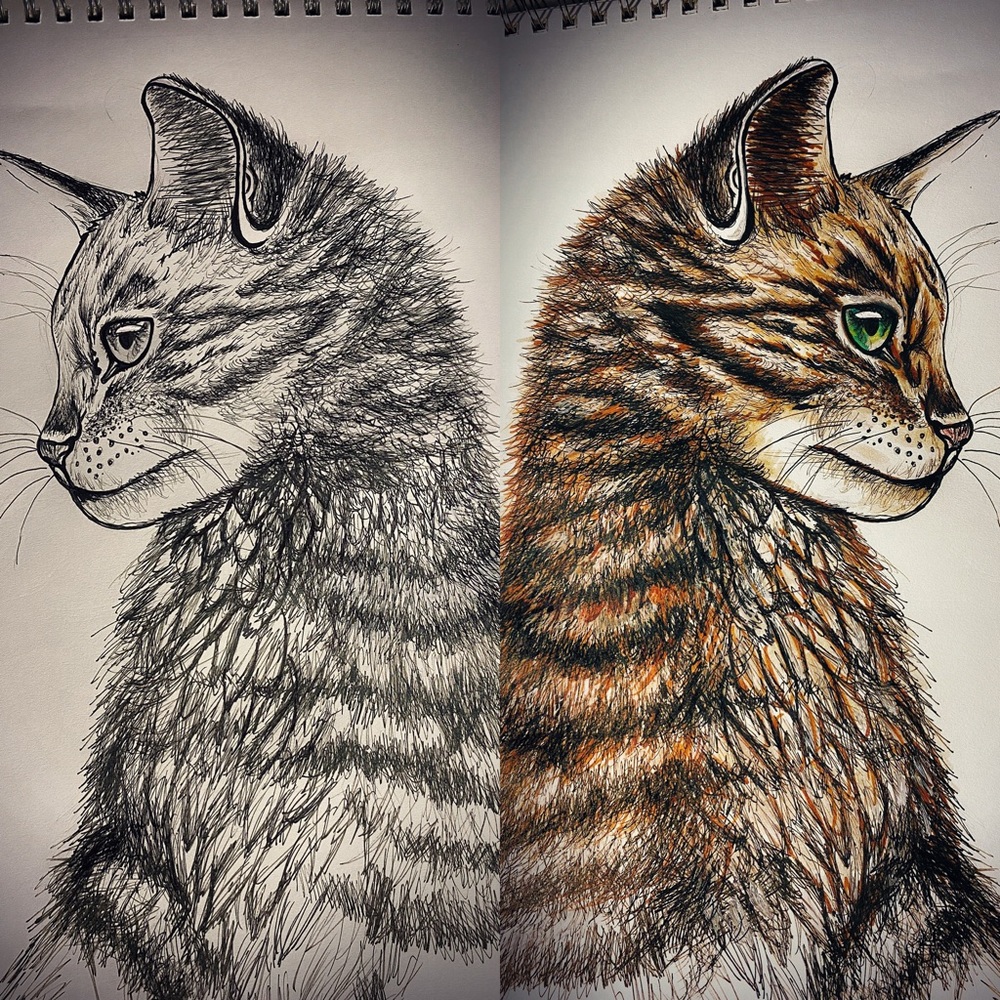 Art - Picture 4 of 16